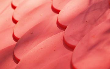 Carbrook plastic roof costs